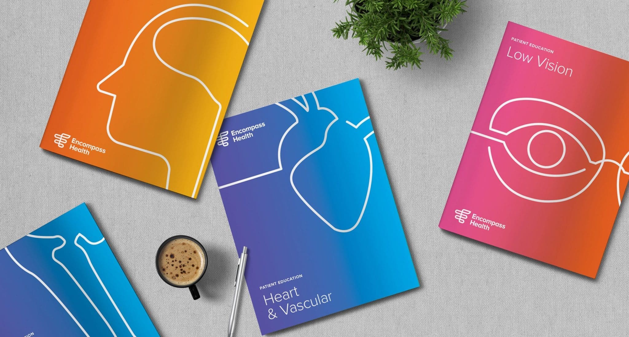 Health Business Transformation Consultants Prophet