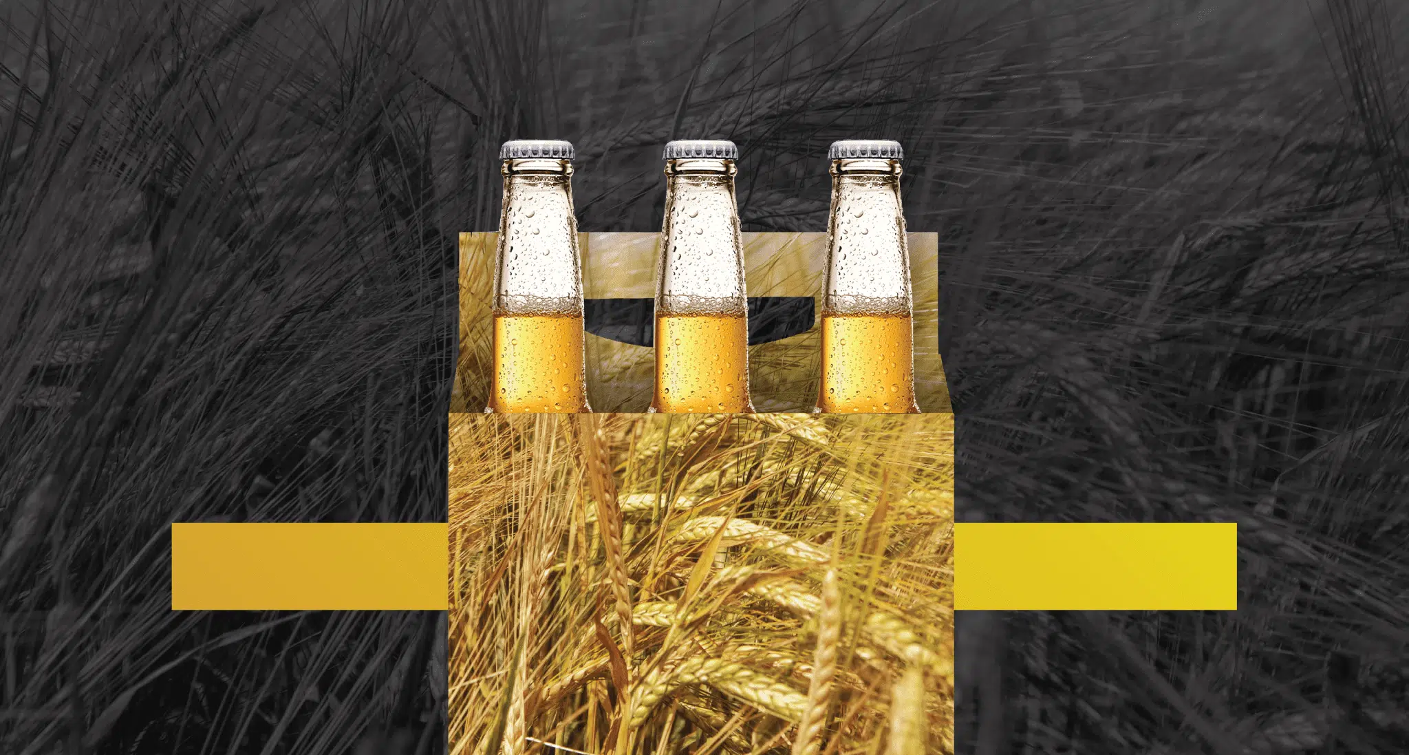 ab-inbev-business-transformation-consultants-prophet